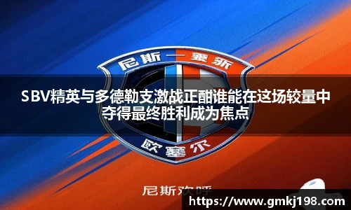 低调看球SBV精英与多德勒支激战正酣谁能在这场较量中夺得最终胜利成为焦点
